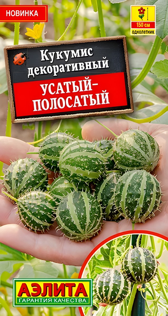 Кукумис декоративный Усатый-полосатый, 5 шт.