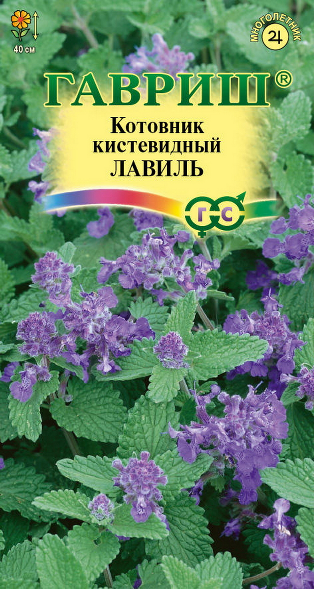 Котовник кистевидный Лавиль, 0,03 г