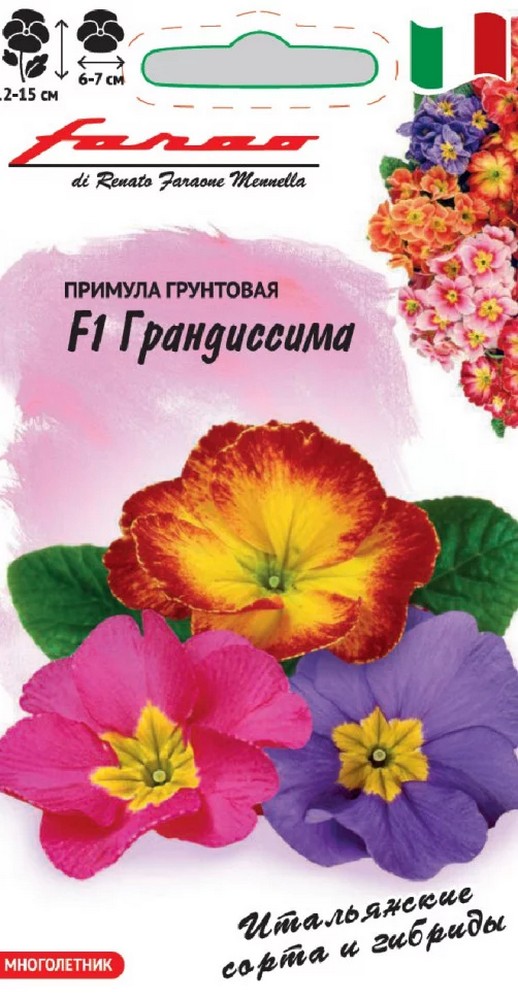 Примула Грандиссима F1, смесь, 5шт.