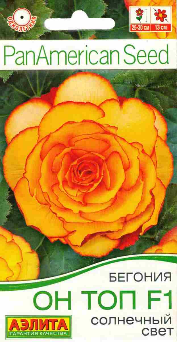 Бегония Он Топ F1 солнечный свет, 5 шт.
