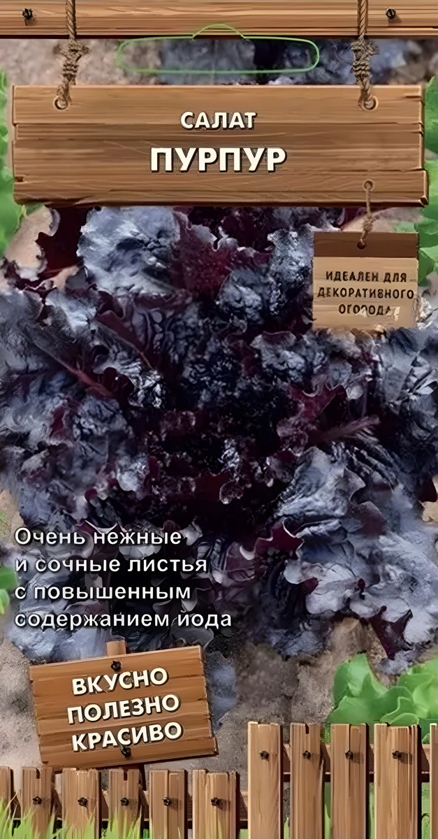 Салат Пурпур, 1 г. Декоративный огород.