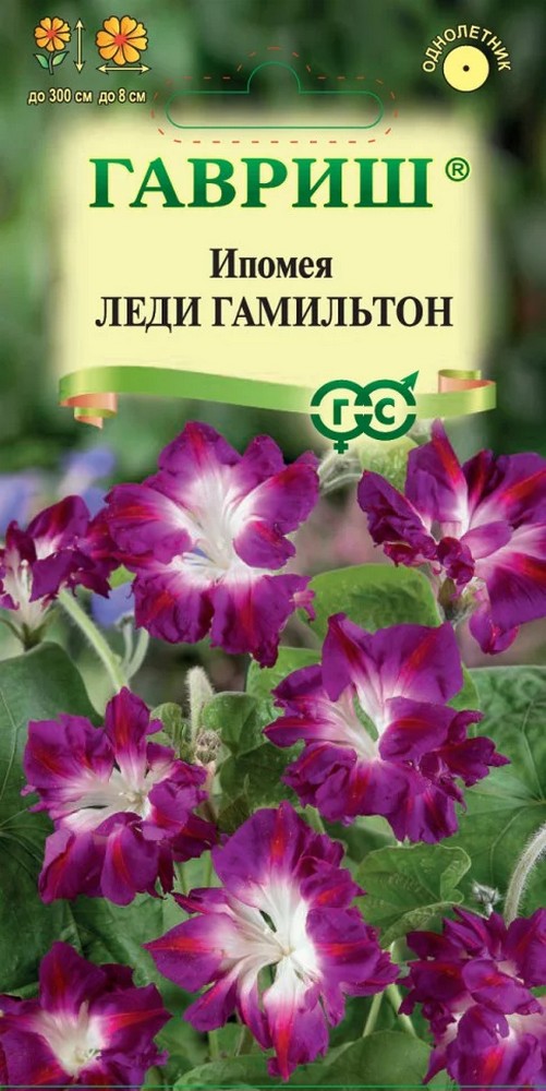 Ипомея Леди Гамильтон, 0,3 г