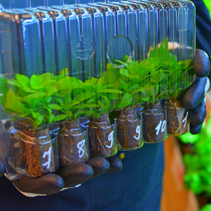 Первая поставка еврочеренков 2026