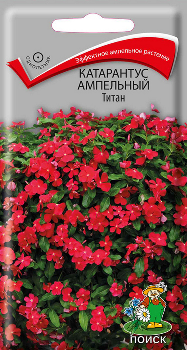 Катарантус ампельный Титан, 10 шт.
