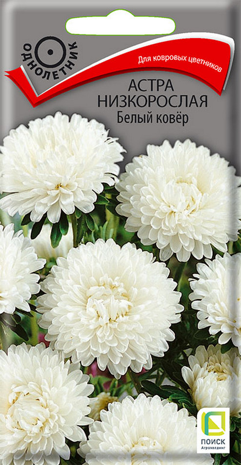 Астра низкорослая Белый ковёр, 0,2 г