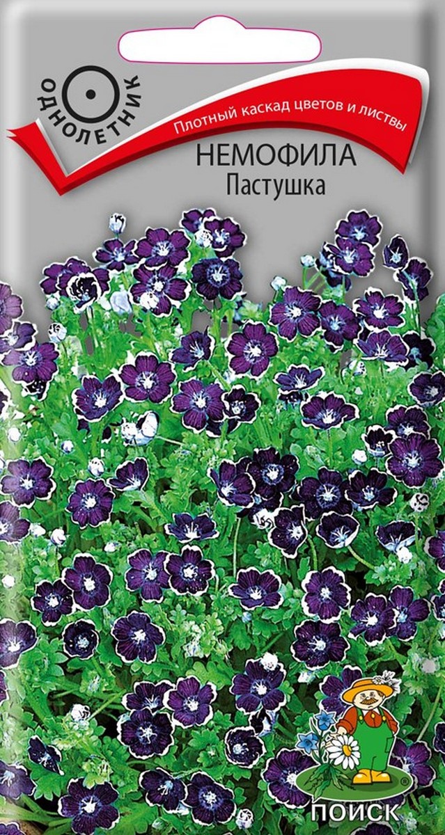 Немофила Пастушка, 0,2 г