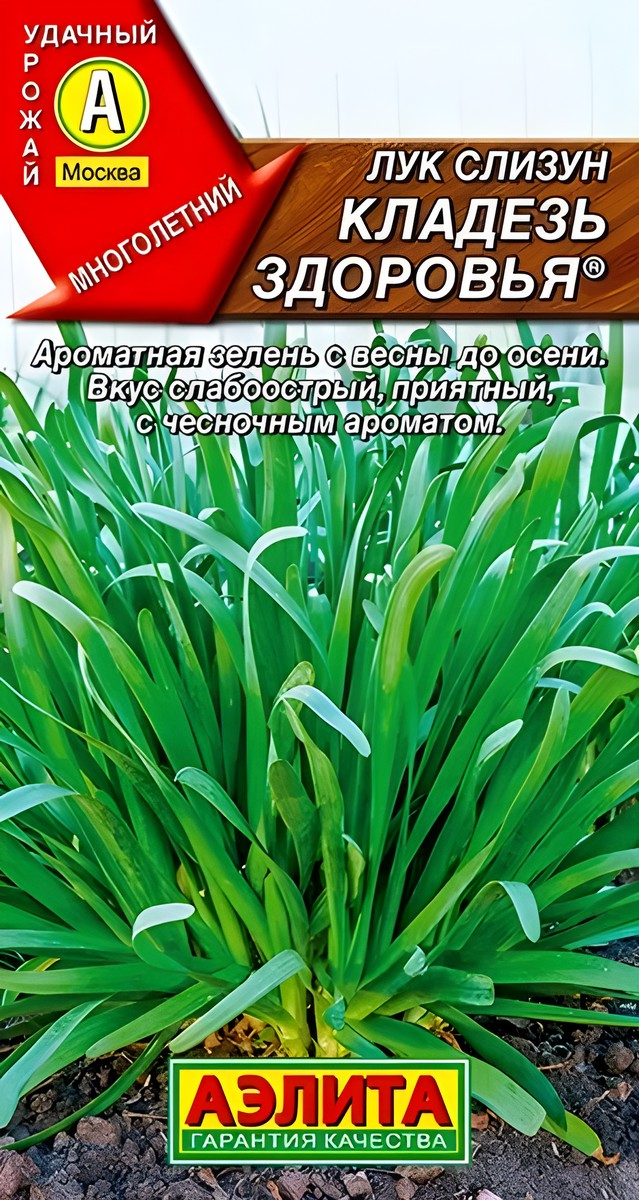 Лук слизун Кладезь здоровья, 0,5 г
