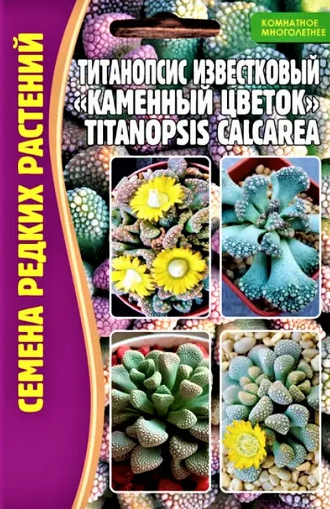 Титанопсис известковый "Каменный цветок" 3 шт.