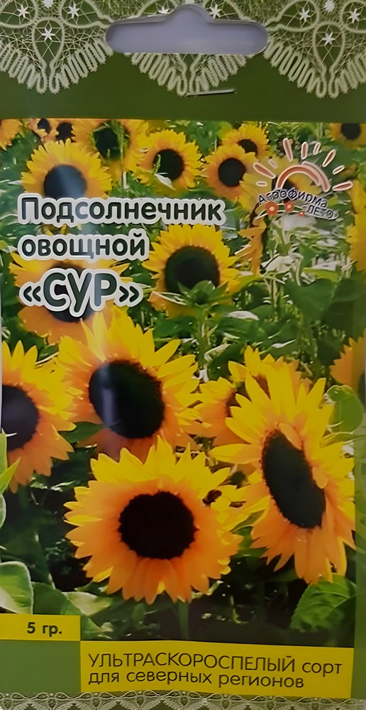 Подсолнечник Сур на зерно, 5 г. Лето.