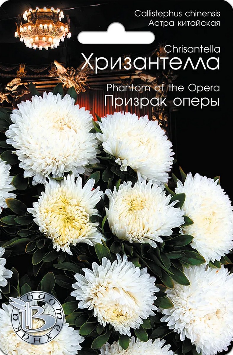 Астра китайская Хризантелла Призрак оперы, 30 шт. Биотехника