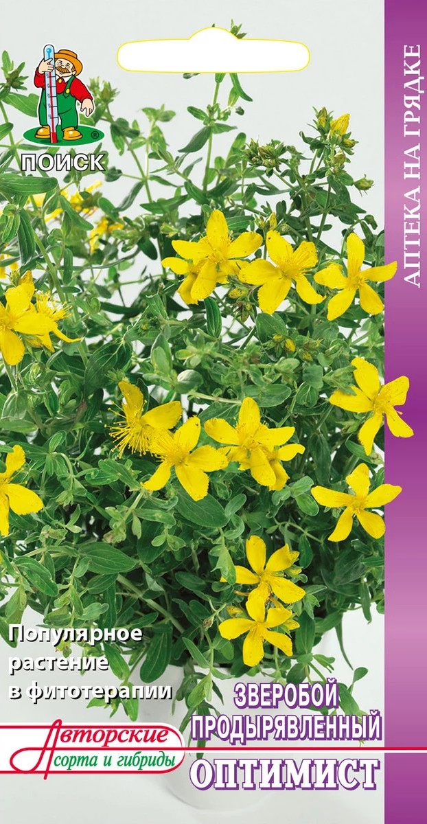 Зверобой продырявленный Оптимист 0,1 г. Аптека на грядке.