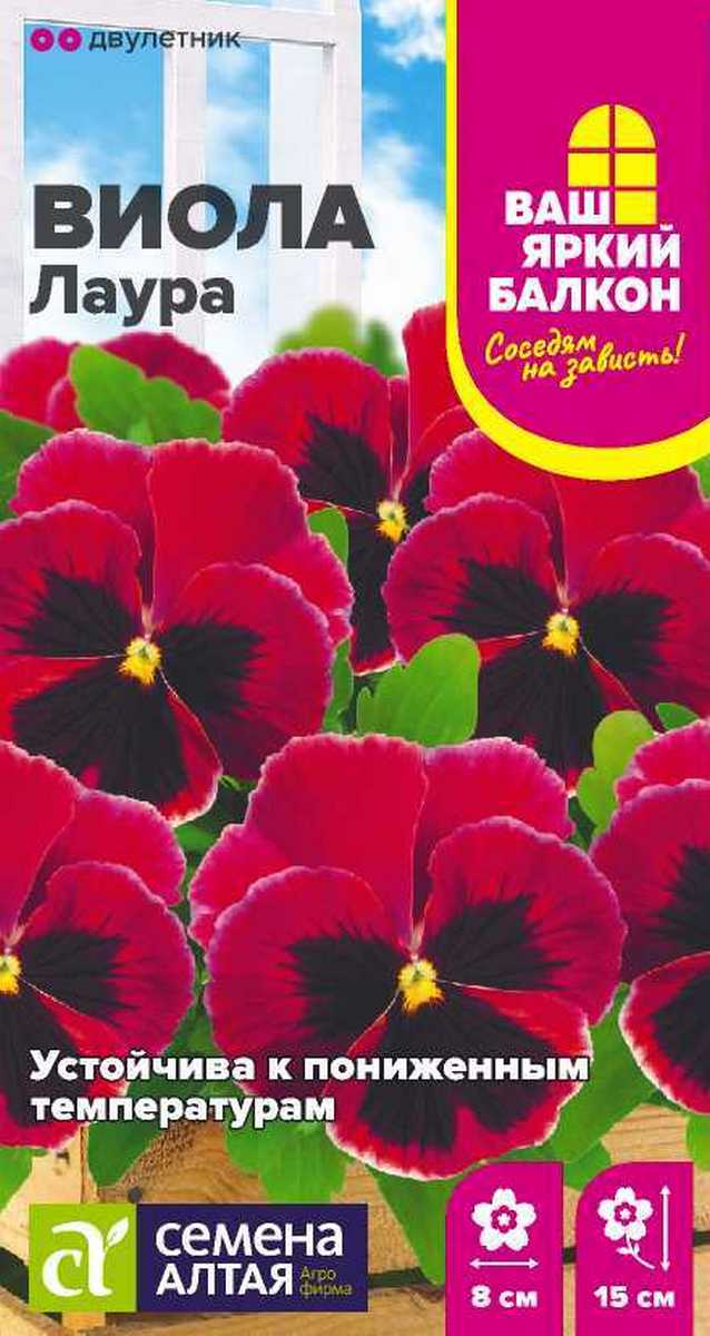 Виола Лаура, 0,1 г. Ваш яркий балкон