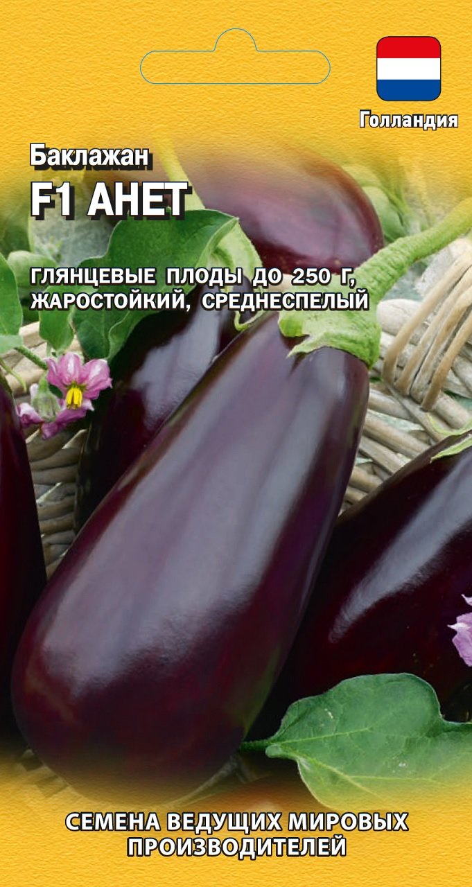 Баклажан F1 Анет 10 шт. Голландия.