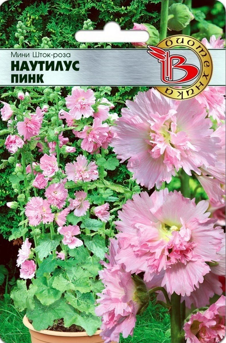 Мини Шток-Роза Наутилус Пинк, 8 шт. Биотехника