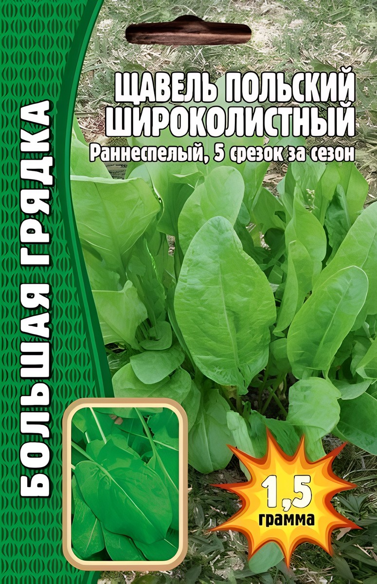 Щавель Польский Широколистный, 1,5 г