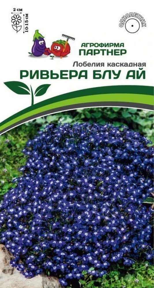 Лобелия каскадная Ривьера Блу Ай, 10 шт. 