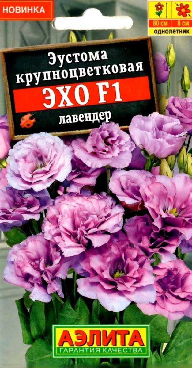 Эустома Эхо F1 лавендер крупноцветковая, 5 шт.