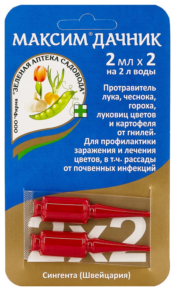 Максим Дачник, 2 млх2