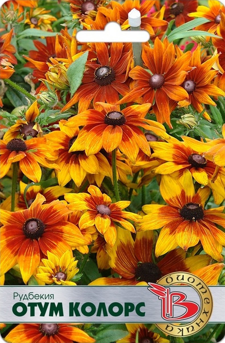 Рудбекия Отум Колорс, 15 шт. Биотехника