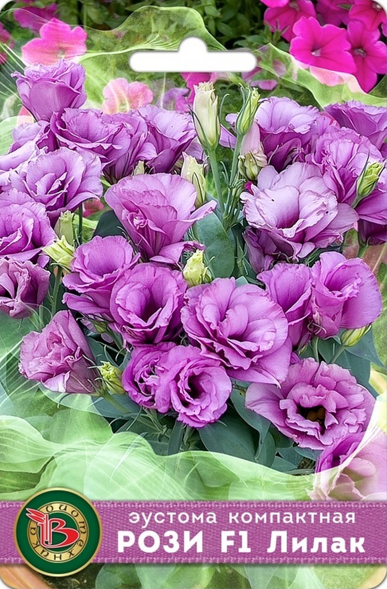 Эустома, лизиантус, компактная махровая F1 Рози Лилак, 5 шт. Биотехника