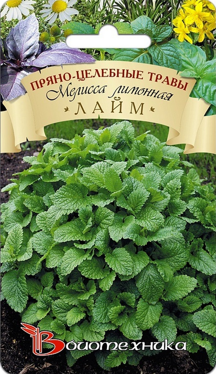 Мелисса лимонная Лайм, 0,2 г Биотехника