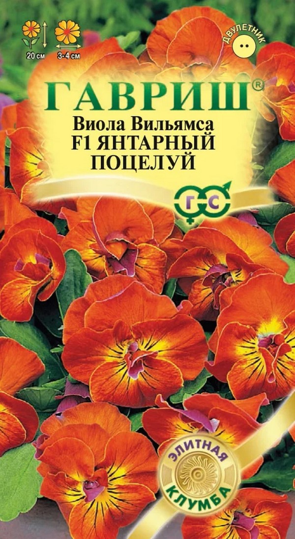 Виола Янтарный поцелуй F1, 5 шт. Элитная клумба.