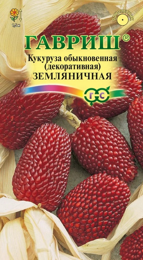 Кукуруза декоративная Земляничная, 10 шт.