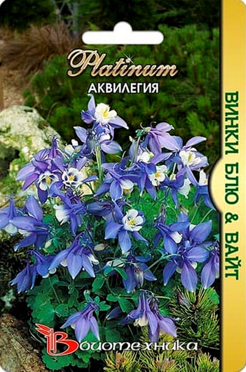 Аквилегия Винки Блю & Вайт, 10 шт. Platinum Биотехника