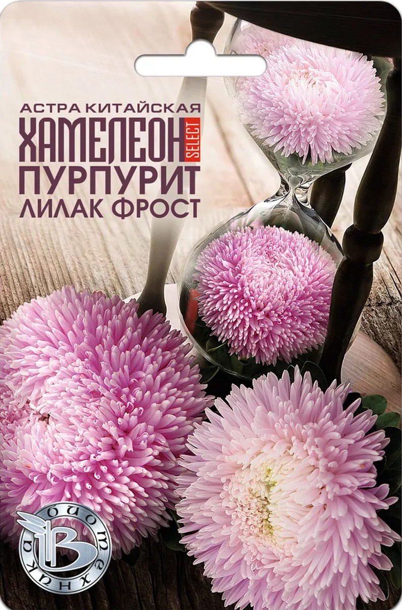 Астра китайская Хамелеон селект Пурпурит Лилак Фрост, 30 шт. Биотехника