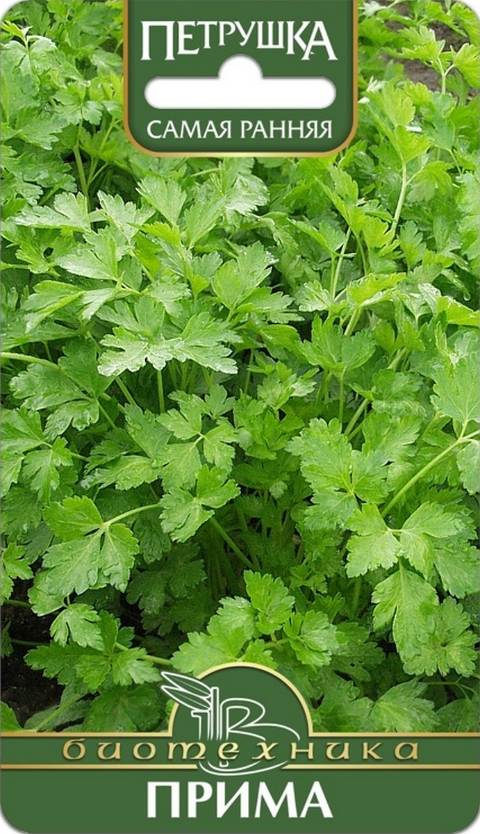 Петрушка листовая Прима, 2 г Биотехника