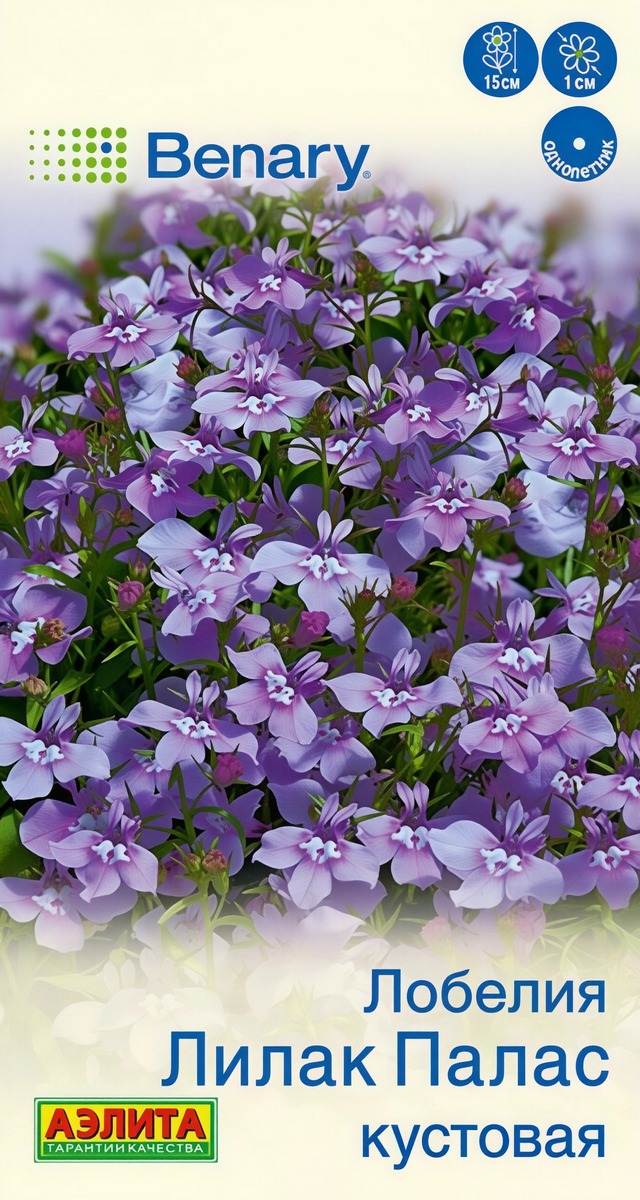Лобелия Лилак палас кустовая, 5 шт.