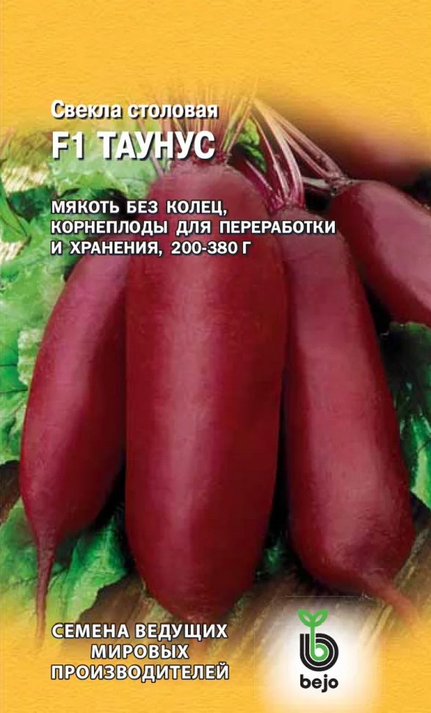 Свекла Таунус F1, 1 г. Голландия.