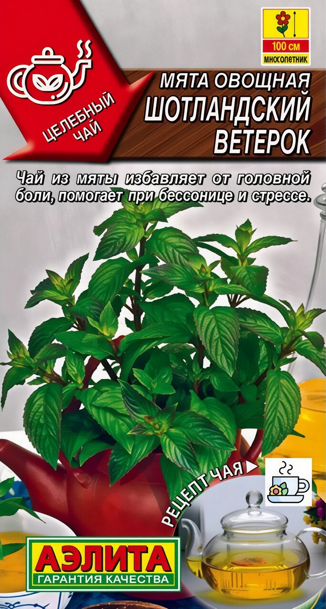 Мята овощная Шотландский ветерок, 0,03 г