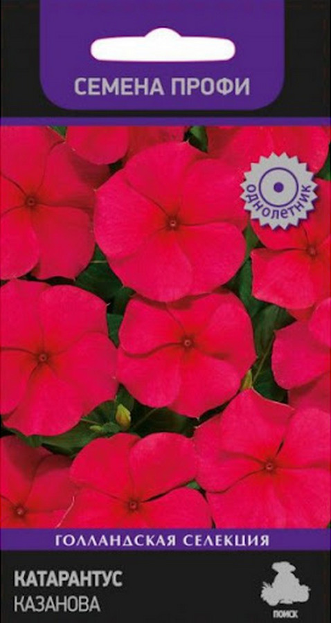 Катарантус Казанова, 10 шт. Семена профи