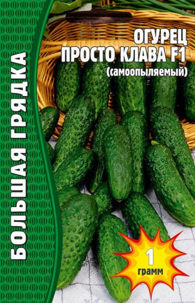 Огурец Просто Клава F1, 1 г
