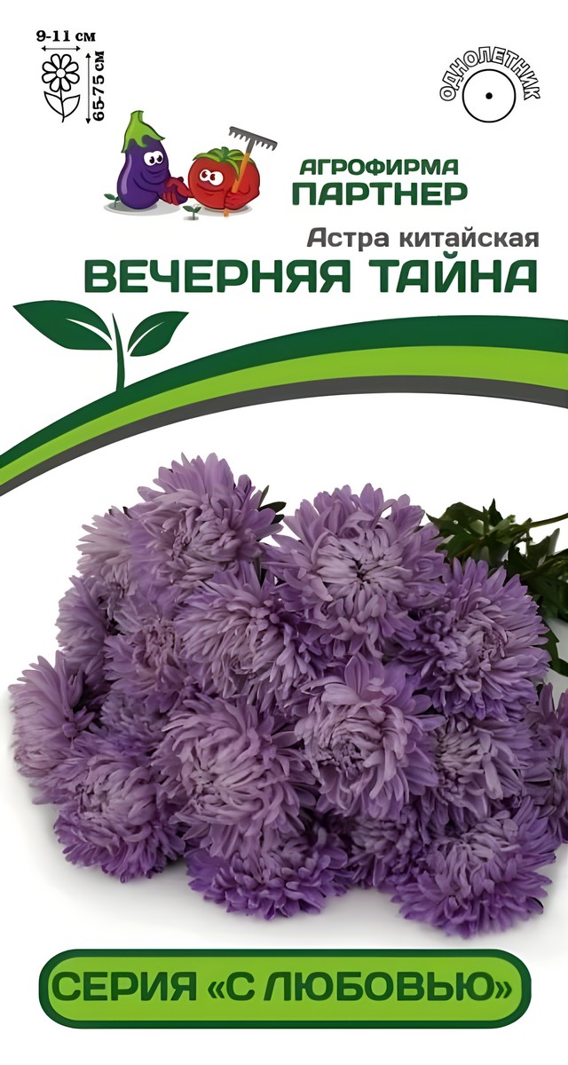 Астра китайская Вечерняя Тайна, 5 шт. С любовью