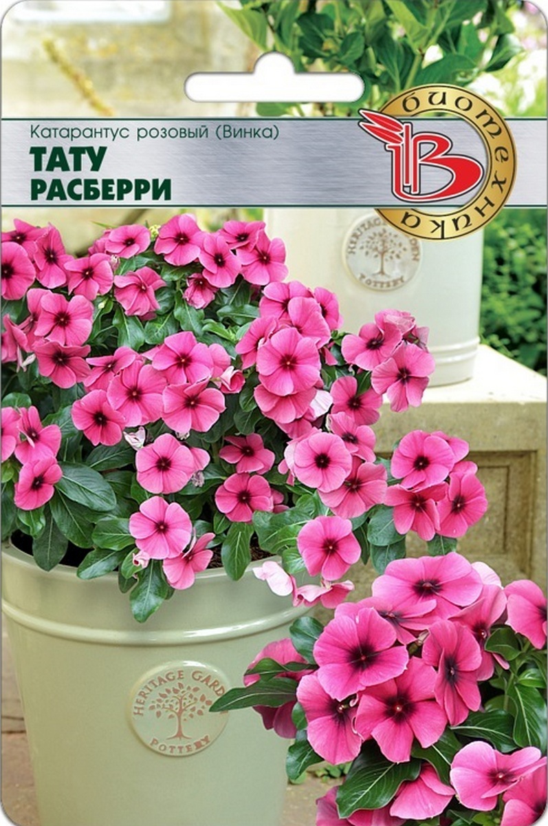 Катарантус розовый (Винка) Тату Расберри, 8 шт. Биотехника