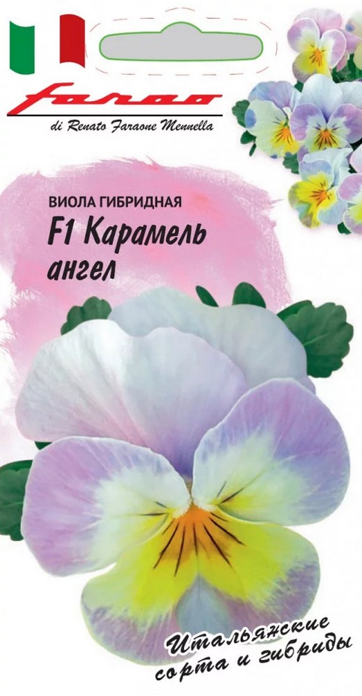 Виола Карамель ангел F1, 10 шт. Фарао.