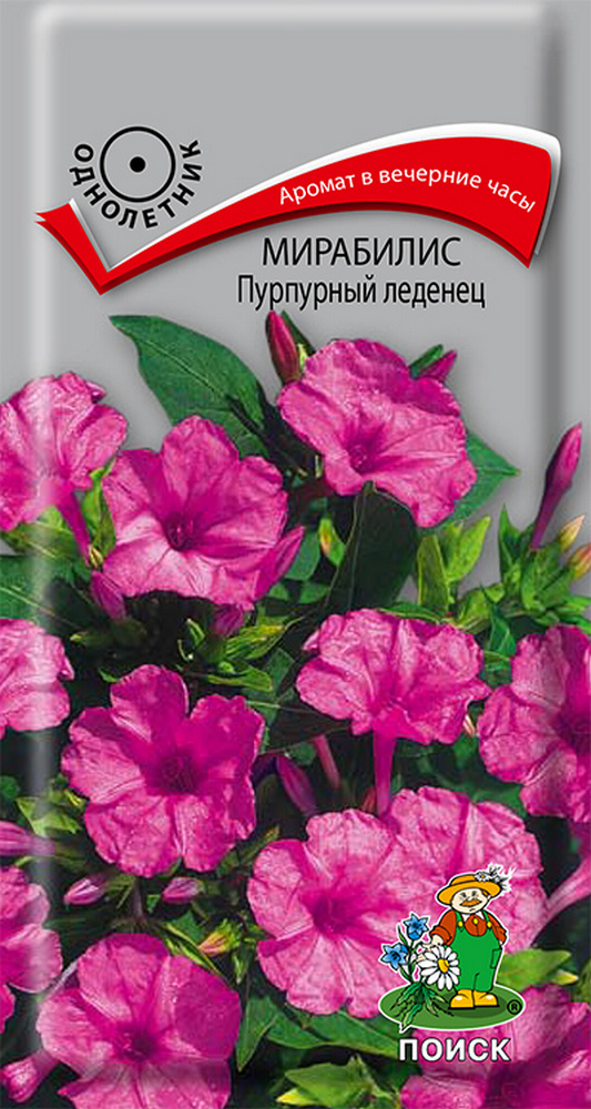 Мирабилис Пурпурный леденец, 1 г