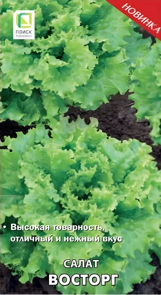 Салат Восторг, 1г