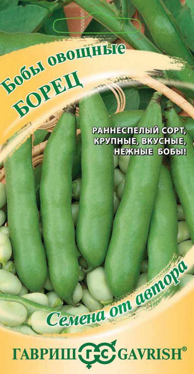 Бобы Борец, 10 шт. Авторские семена.