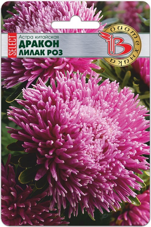 Астра китайская Дракон селект Лилак Роуз, 30 шт. Биотехника