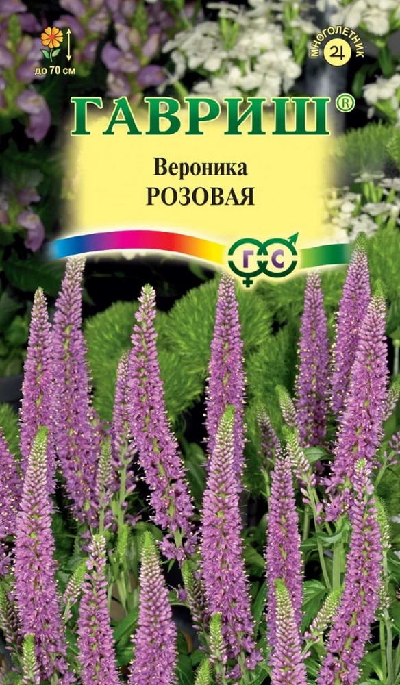 Вероника длиннолистная Розовая, 0,05 г 
