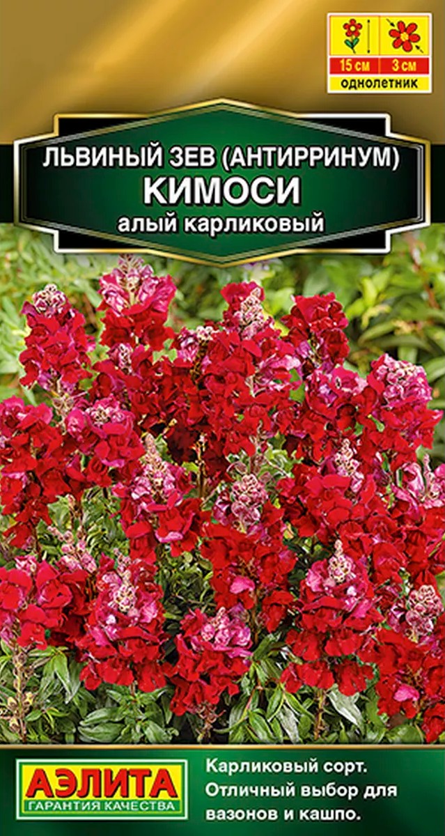 Львиный зев Кимоси алый, карликовый, 0,05 г