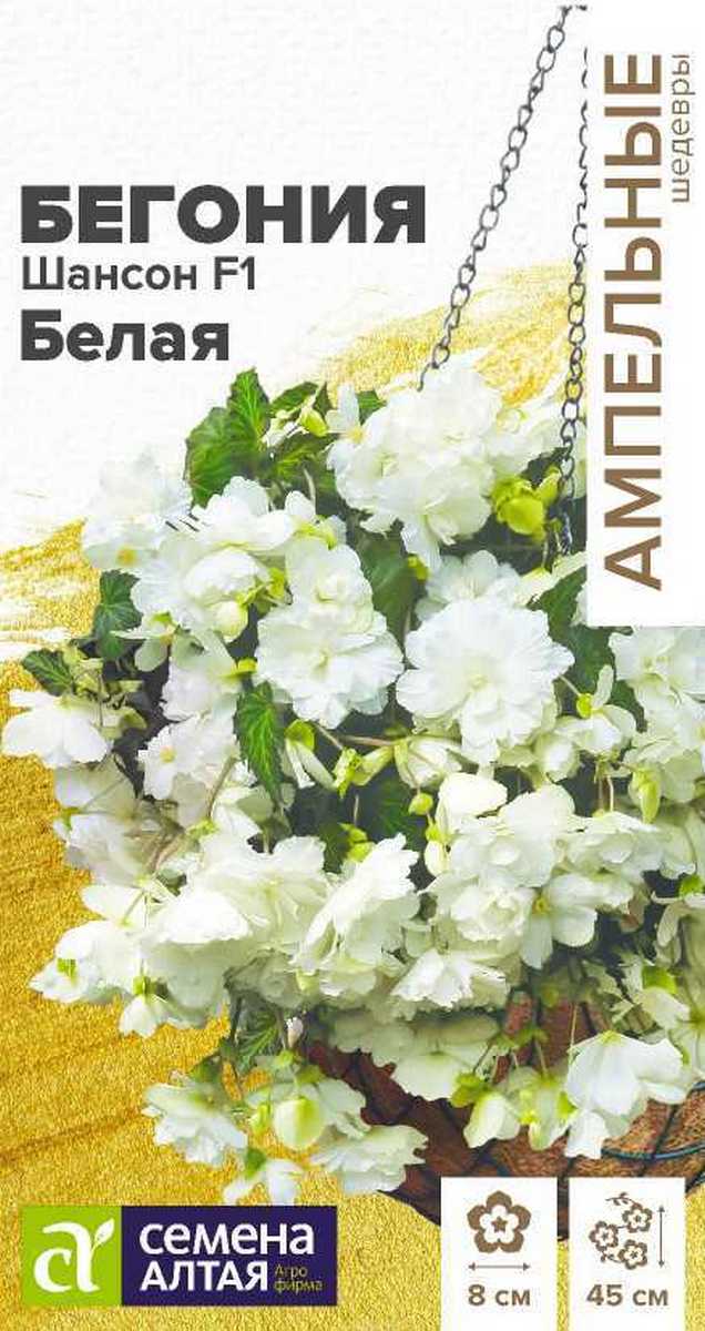 Бегония Шансон F1 Белая ампельная, 5 шт. Ампельные шедевры 