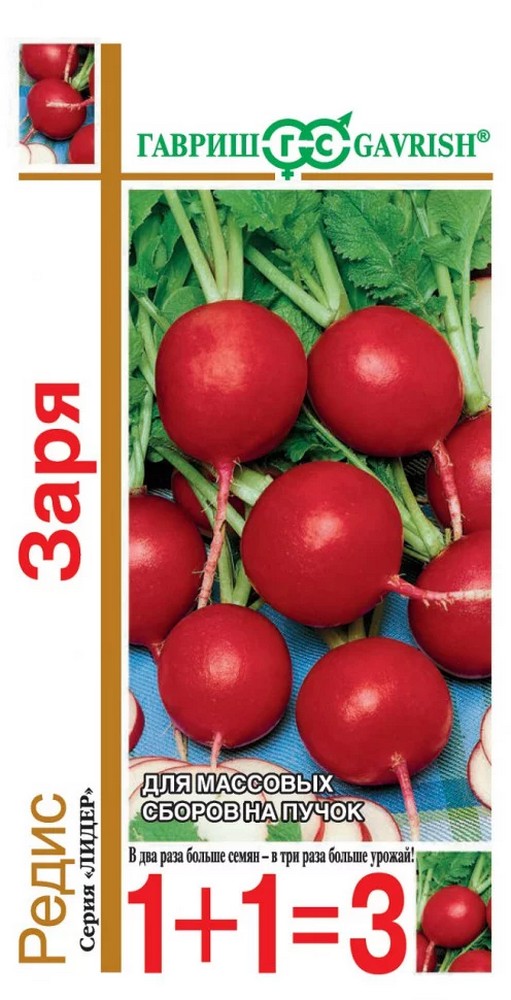 Редис Заря, 5 г. 1+1