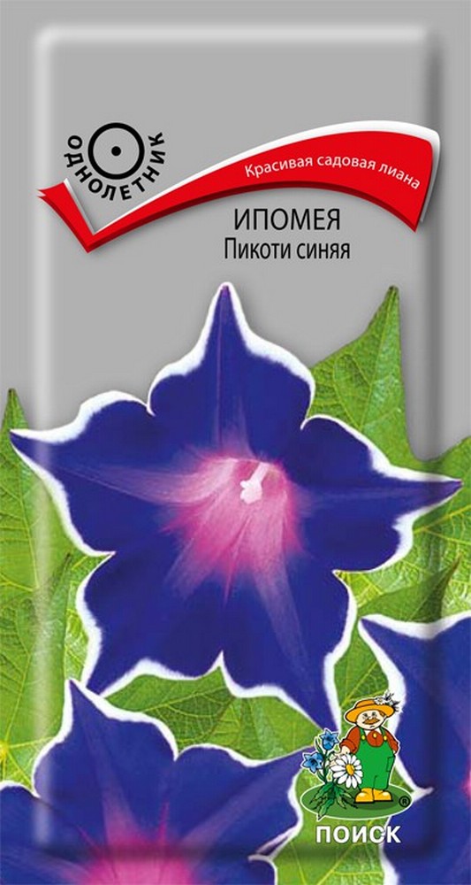 Ипомея Пикоти синяя, 0,3 г
