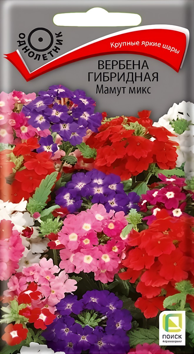 Вербена гибридная Мамут микс, 0,2 г.