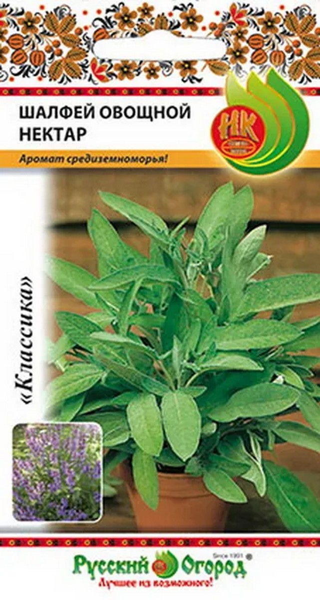 Шалфей овощной Нектар, 0,5 г