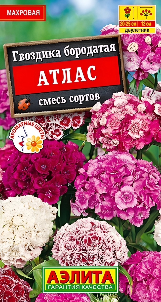 Гвоздика Атлас, смесь, 0,3 г